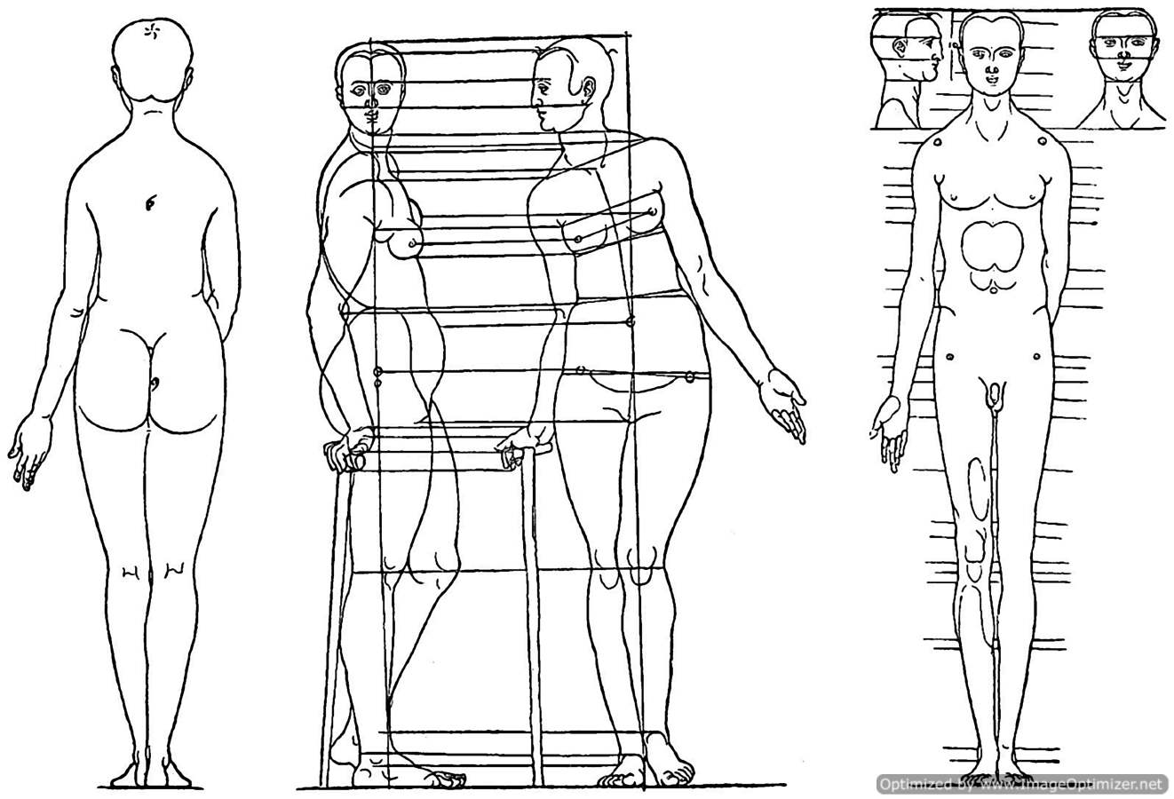 Proportionsstudie Albrecht Dürer 1528
