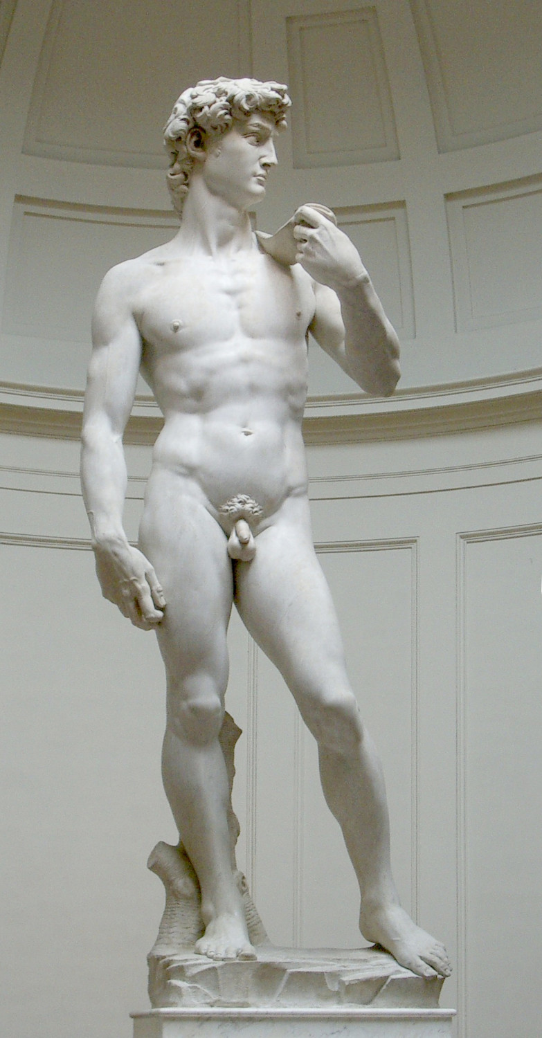 Michelangelo David Statue Ganzkörper